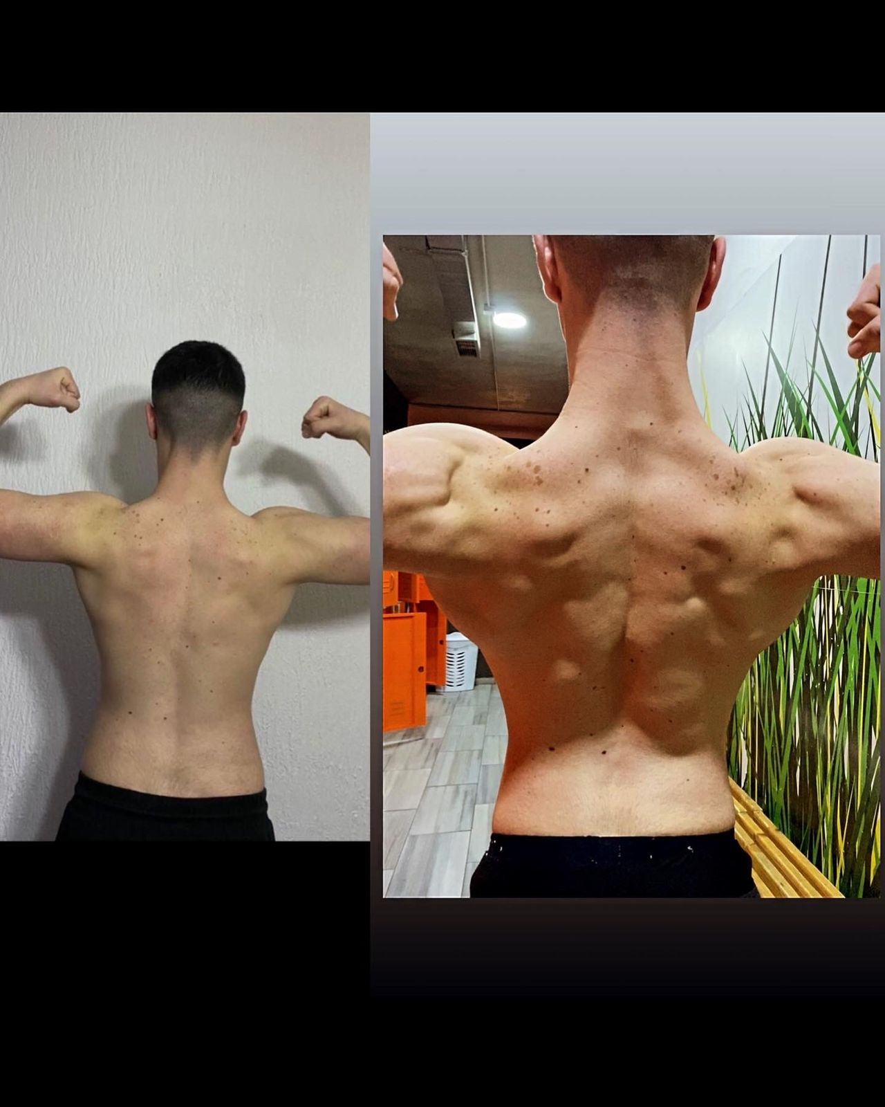 Muscle building result